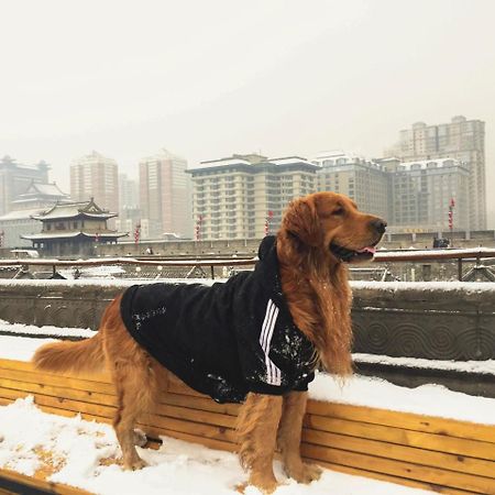 Jano'S Backpackers Xi'An Pansiyon Xi'an  Dış mekan fotoğraf