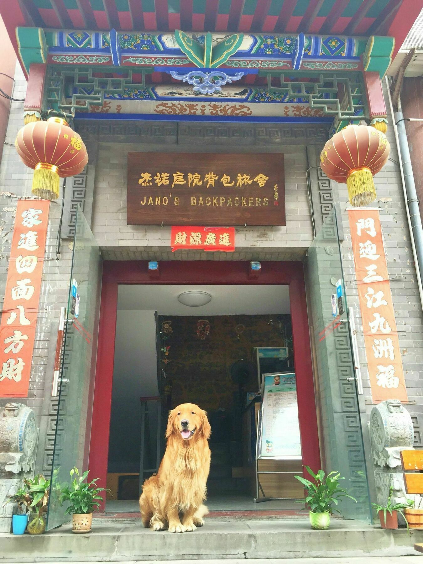 Jano'S Backpackers Xi'An Pansiyon Xi'an  Dış mekan fotoğraf